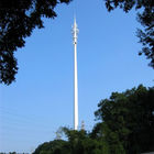 برج های مخابراتی حرفه ای، برج درخت کاج مخفی
